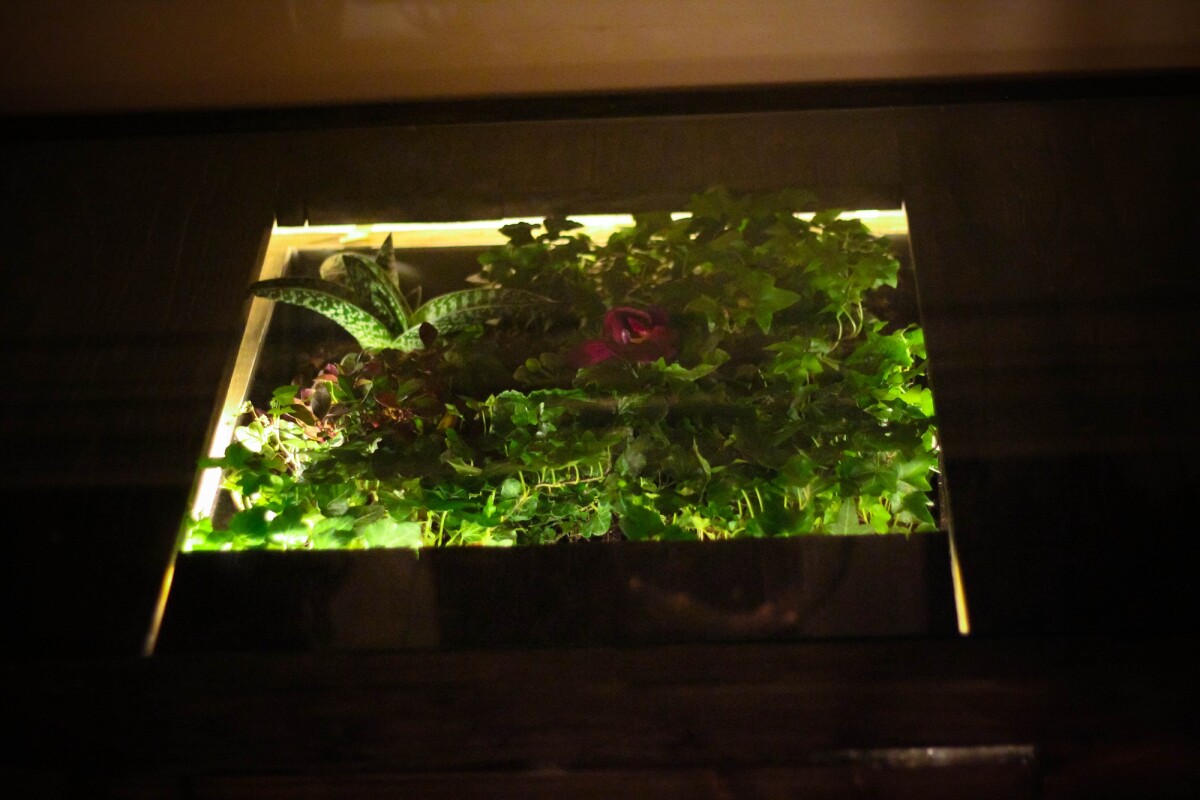 The windowed top of Terrarium Desk allows the user to feel the presence of greenery even though they're working indoors (Photo: Daniel Zeller)