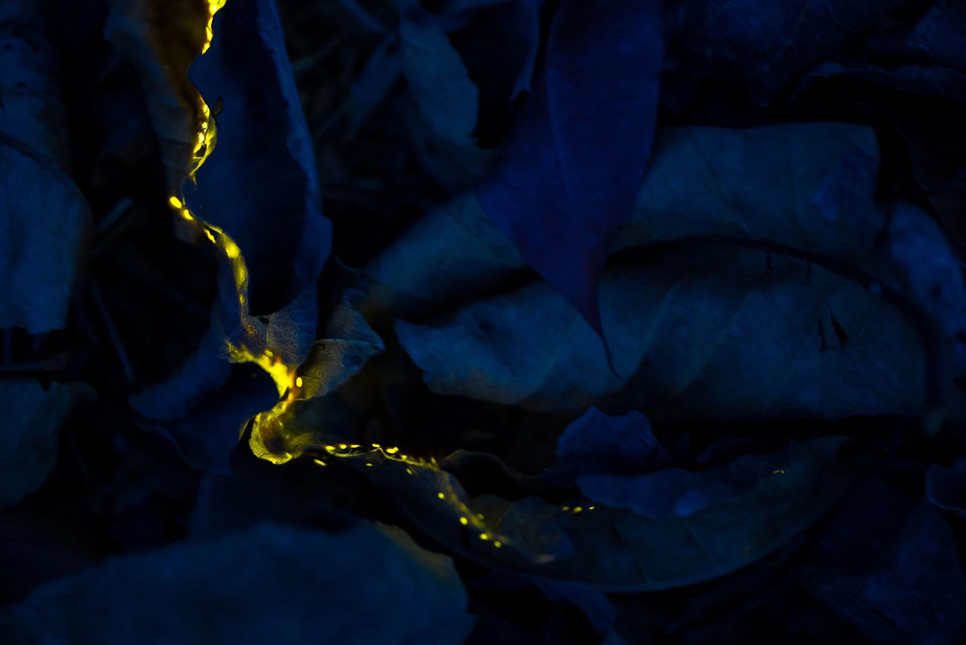 2nd Runner Up - Creative Nature. Part of the Light, Bhandardara Dam, Maharashtra