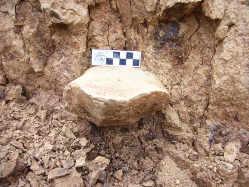 The discovery of two-million-year-old stone tools in China may rewrite the migration timeline of early human ancestors