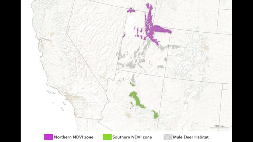 The project makes use of a system designed to track the health of vegetation, known as the Normalized Difference Vegetation Index (NDVI)