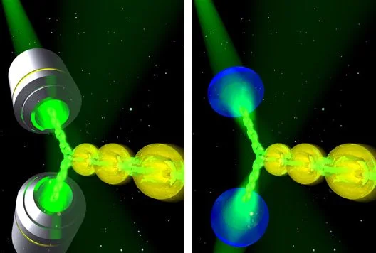 A team led by the University of St. Andrews has turned a laser into a tractor beam that works on the microscopic level