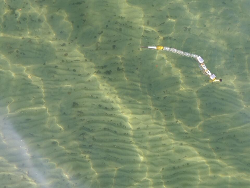 Envirobot has been trialed in Lake Geneva