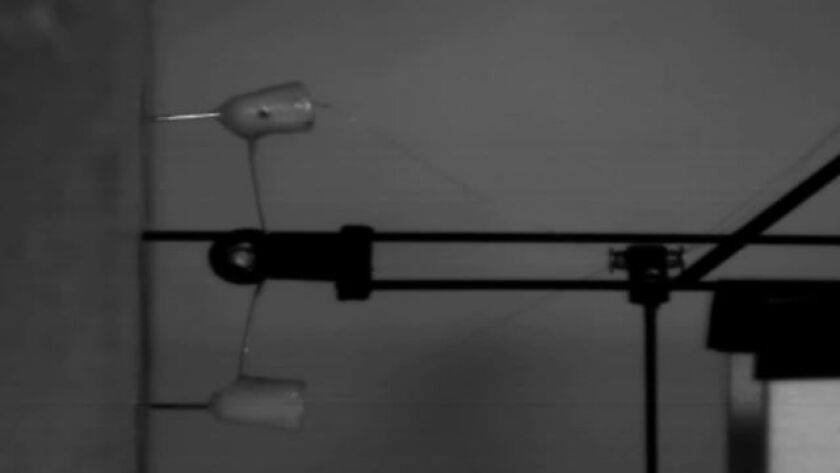 The prongs that stick into vertical surfaces