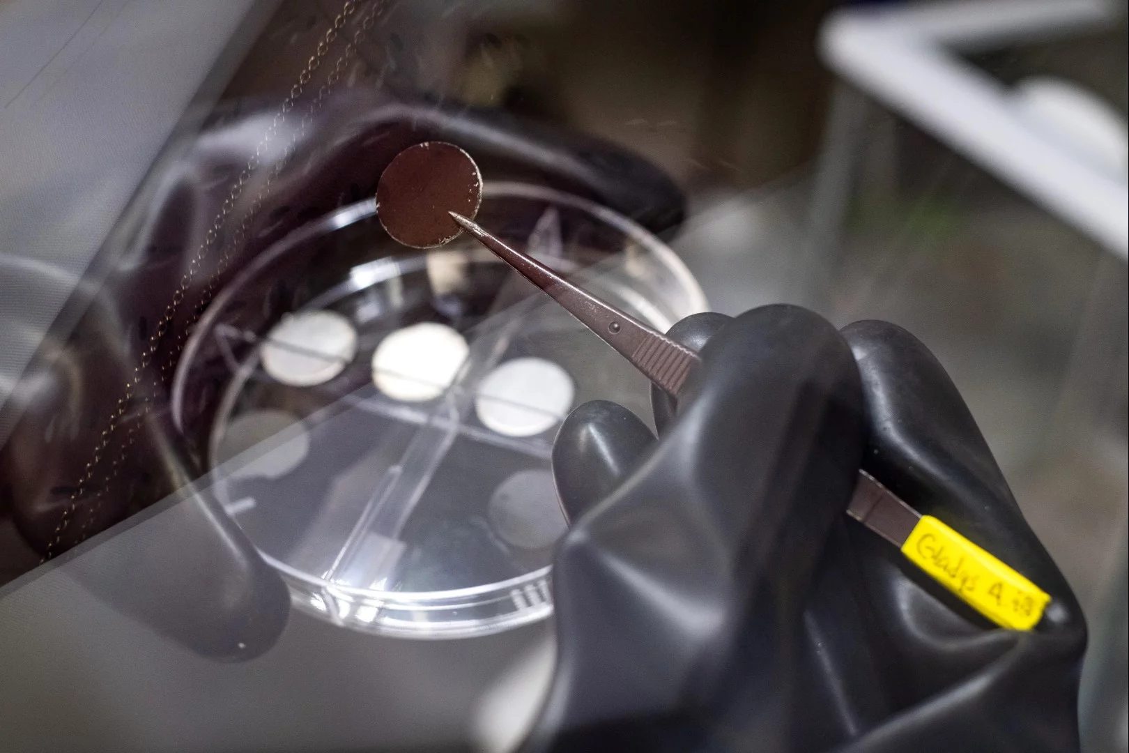 The battery breakthrough centers on a new kind of anode coated in a nanotube film