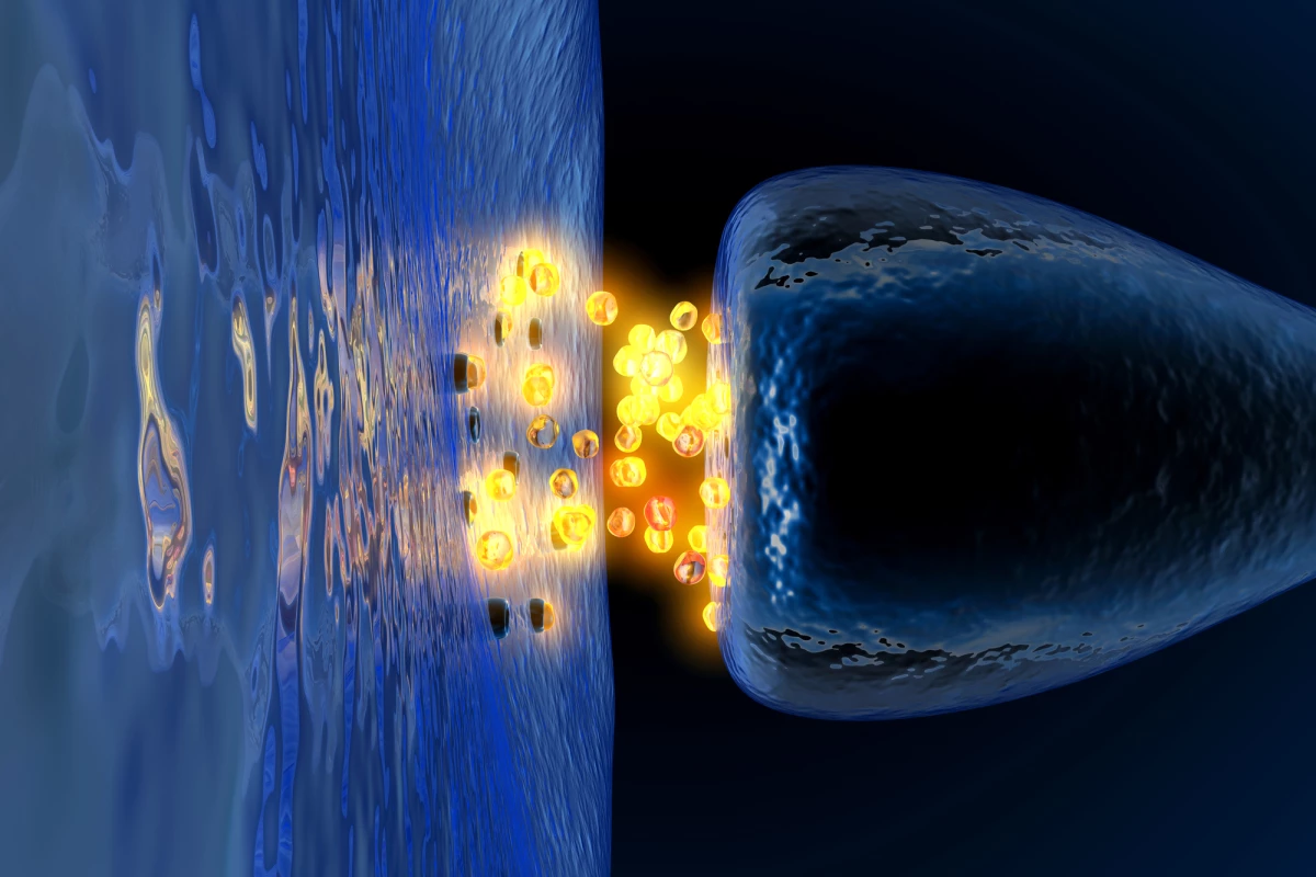 Scientists have discovered a new class of proteins that fight the destructive forces at play in Alzheimer's and similar conditions