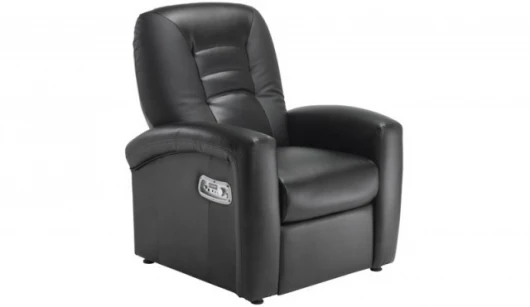 Ace Bayou's Wireless Audio Recliner