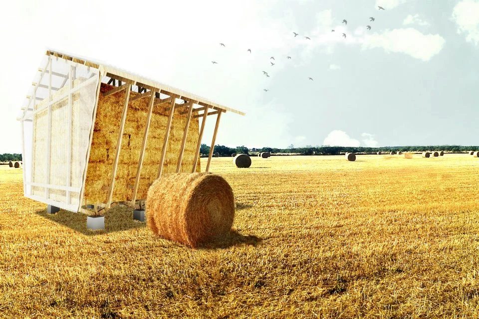 The Nest rendering by Studio 1984