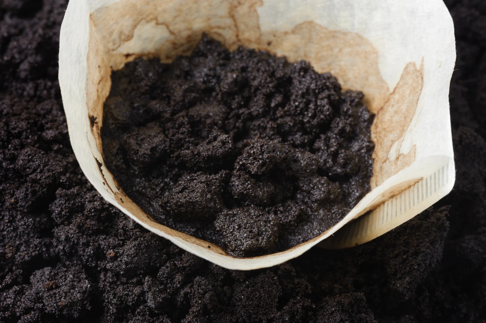 Don't throw those grounds away – they could be used to filter methane from the atmosphere
