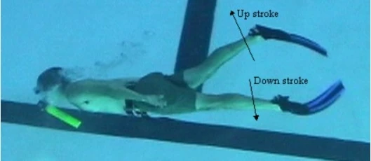 Click image to enlargeImage via University of West Florida