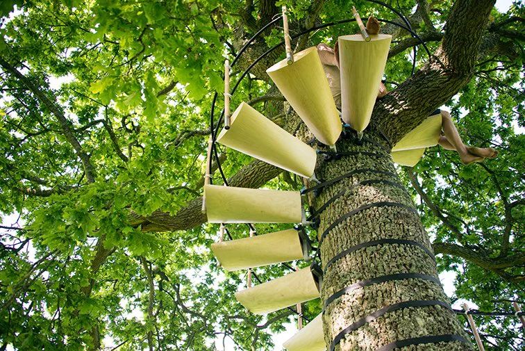 CanopyStair allows adults and children alike easy access to the top of a tree