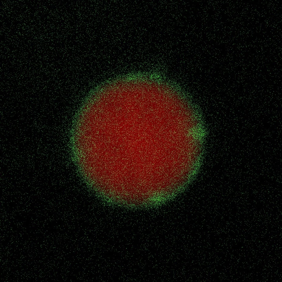 The nanoparticles developed by the team, containing a protein that rebuilds the blood-testis barrier