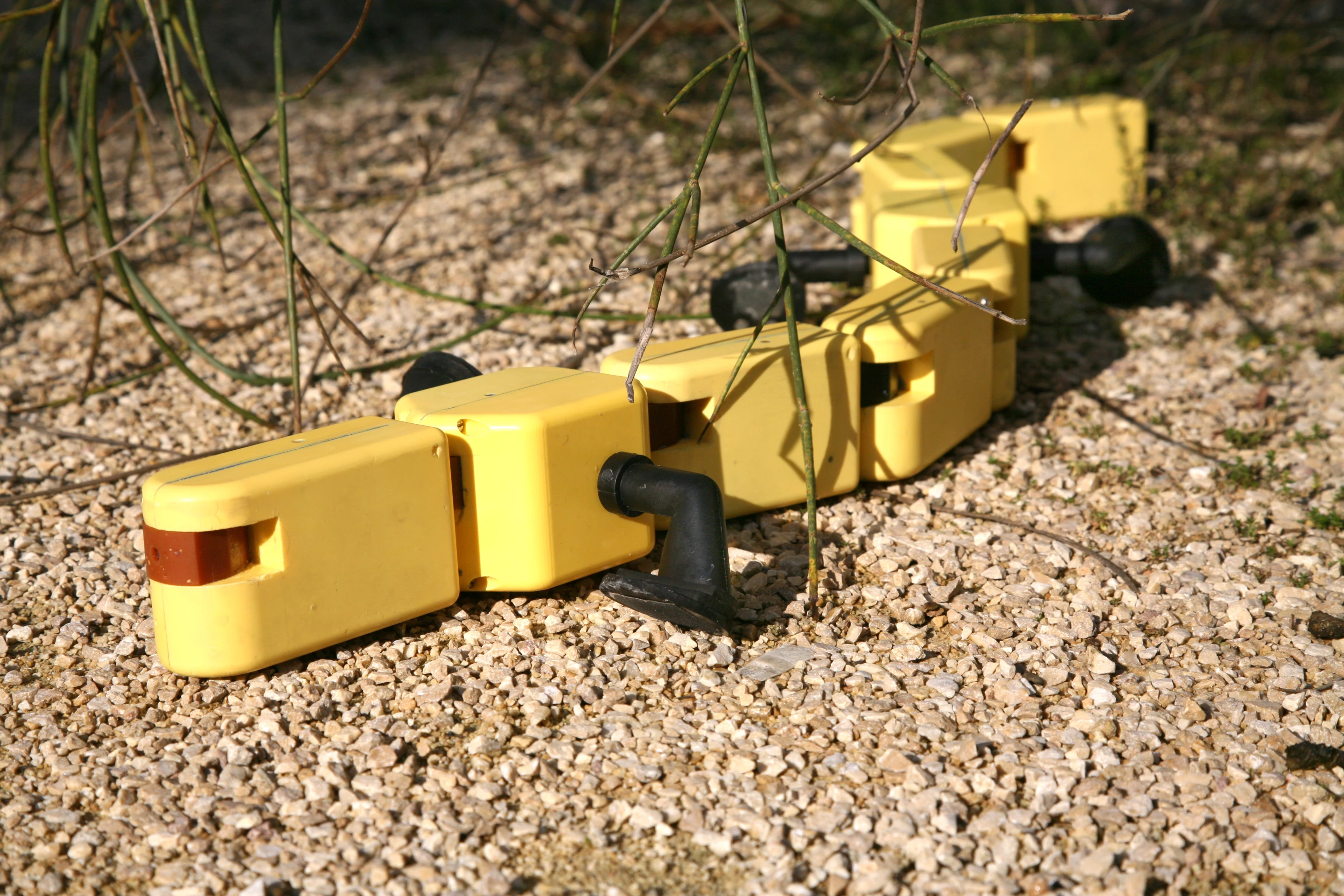 The group had to essentially build a mock-up of a salamander's vertebrae and limbs that could alter its stance depending on whether it was traversing in water or not (Photo Credit: A. Herzog, Biorobotics Laboratory, EPFL)