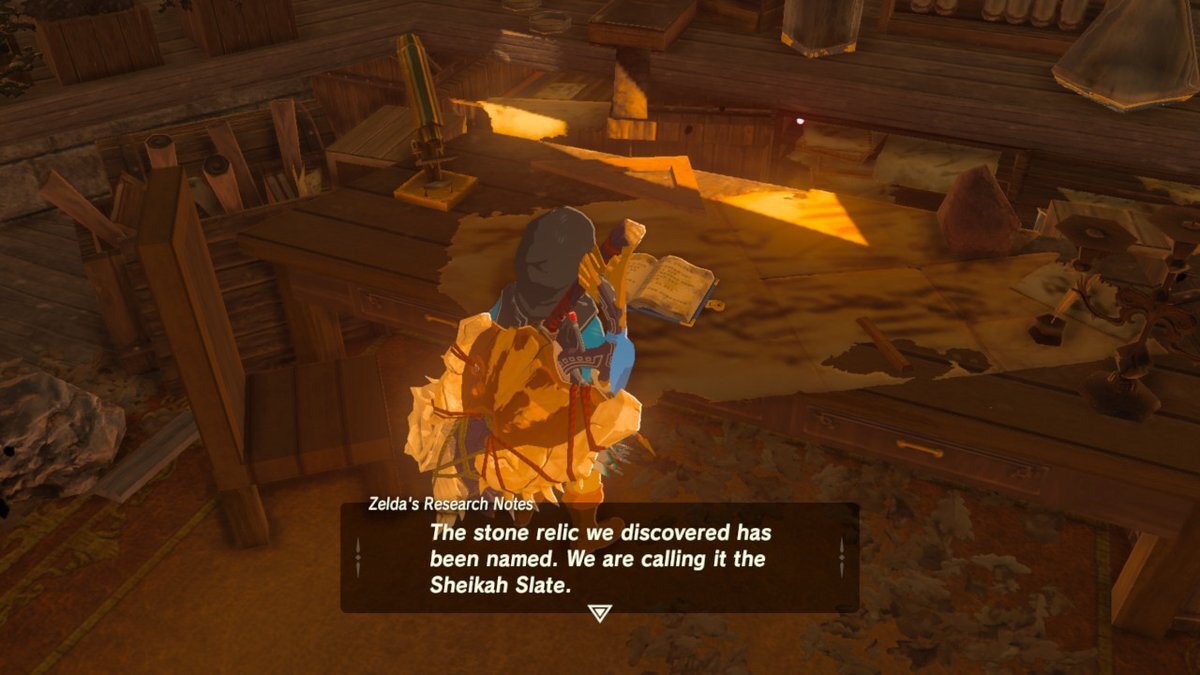 Zelda's research journal.