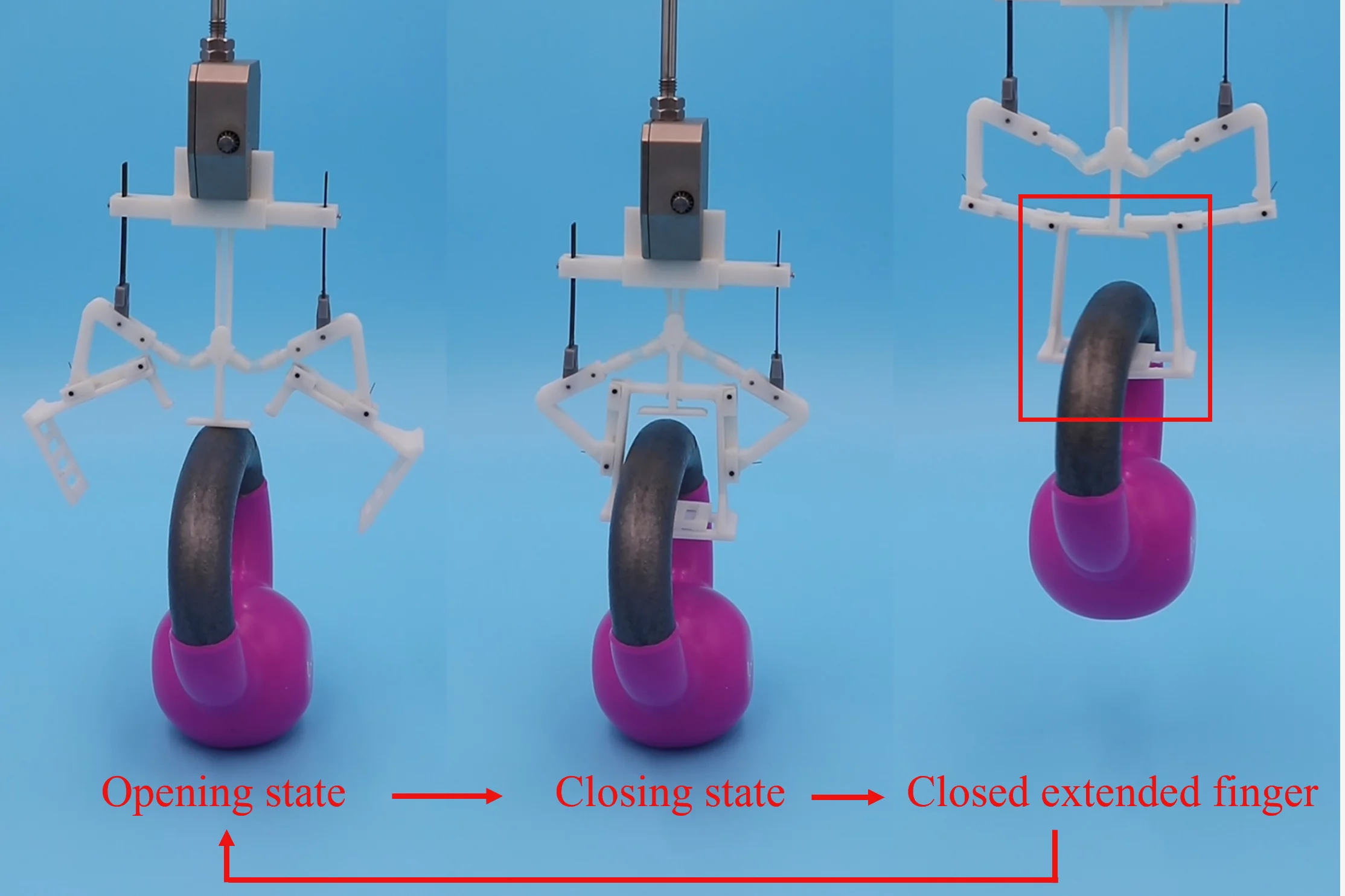 The MIP gripper grasps and lifts a 5-lb (2.3-kg) kettlebell