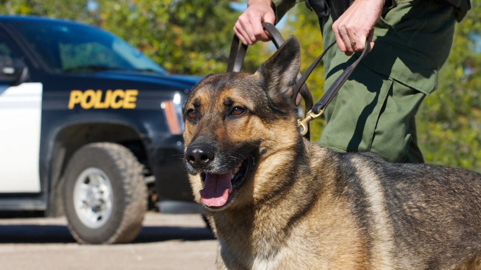 Blueforce's new implant warns police of dangerous internal temperatures (Photo: Shutterstock)