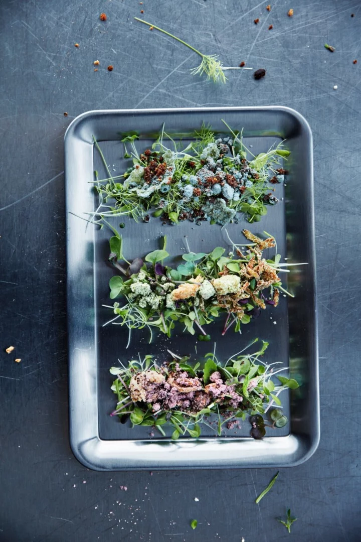 Some of the salads made with hydroponic micro greens