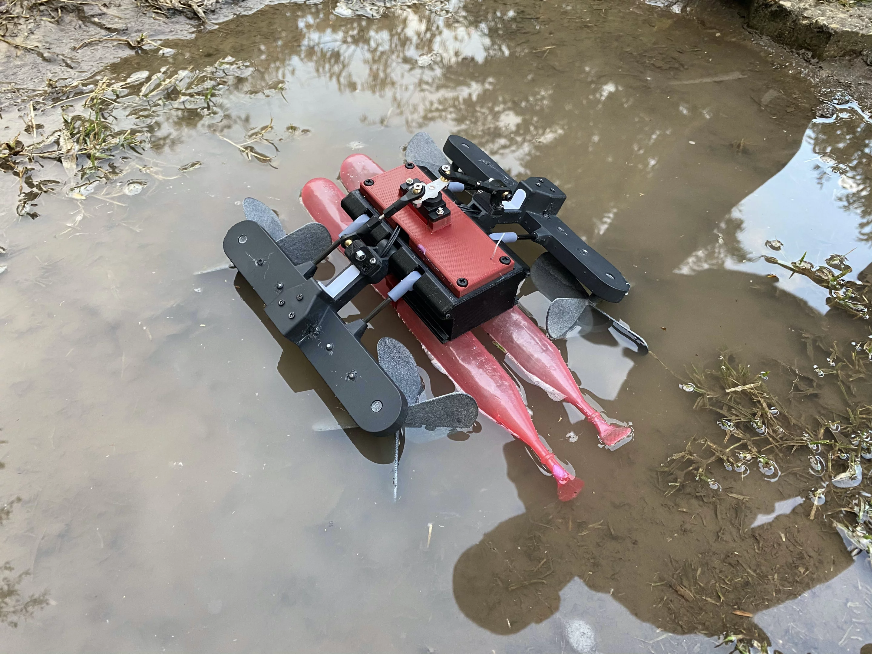 The AmphiSTAR robot, pictured here moving from water to land