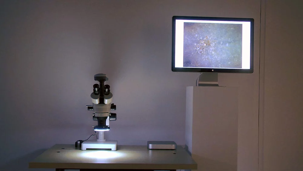 The conversion process is documented in real time via a USB-connected microscope and video feed (Photo: Adam Brown)