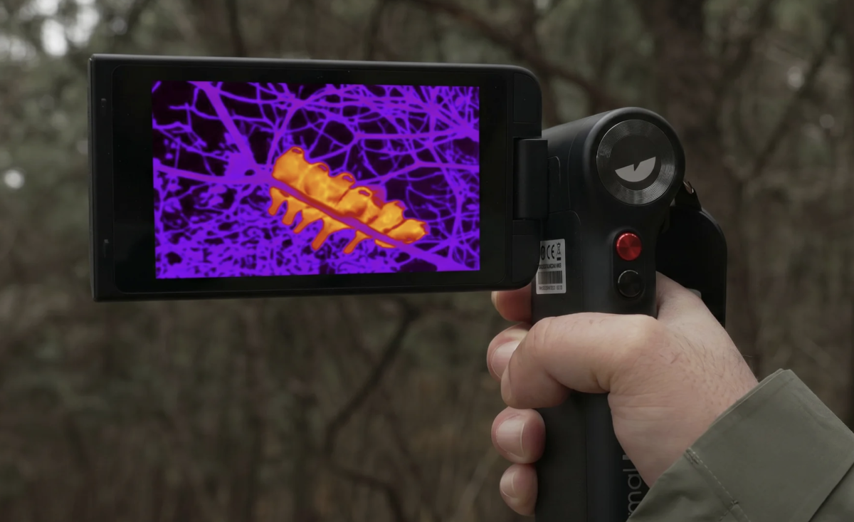 Review: Affordable thermal device is made for discovering life outdoors