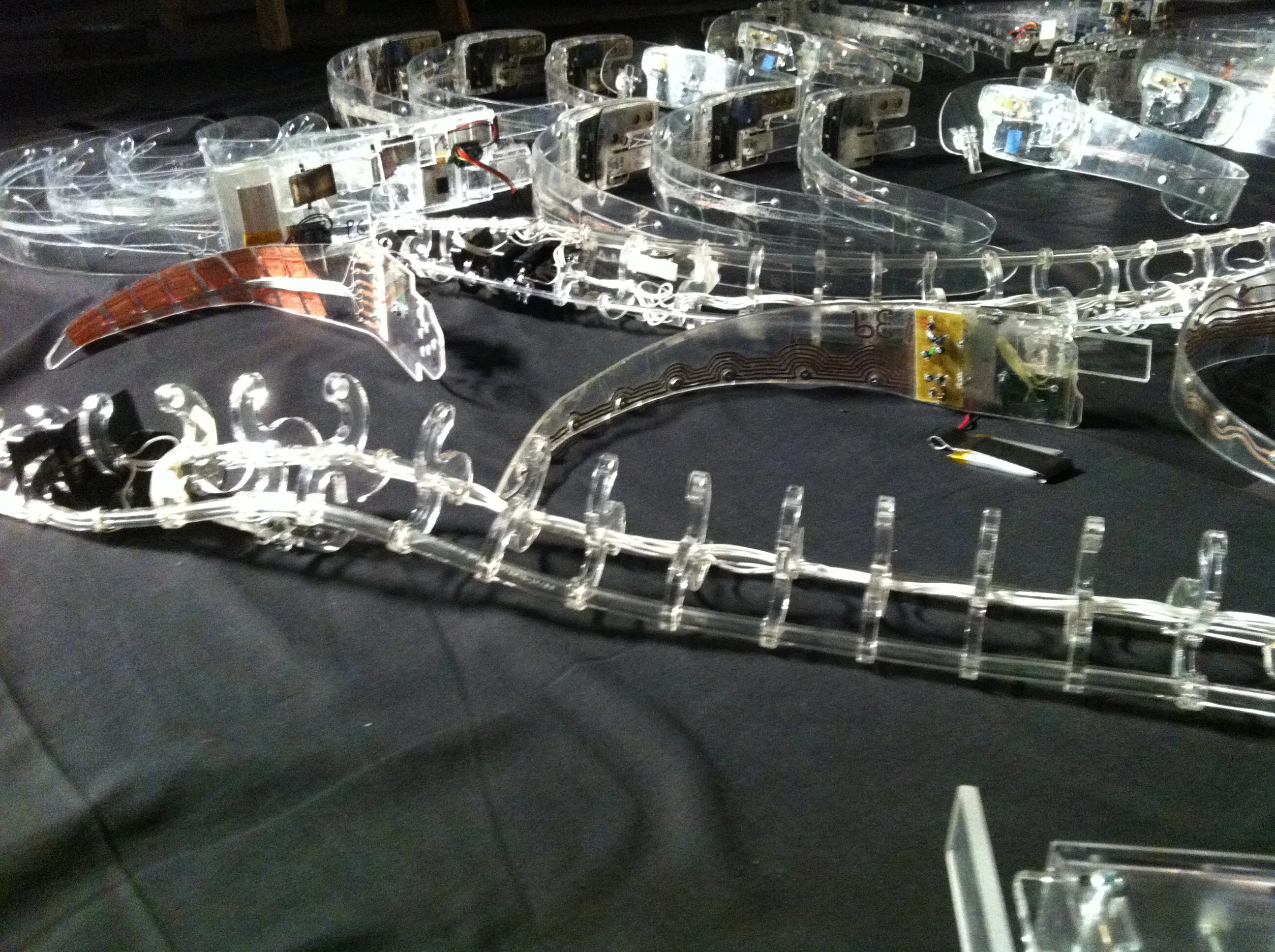 The Spine is made up of transparent acrylic vertebrae that slot onto PVC tubing