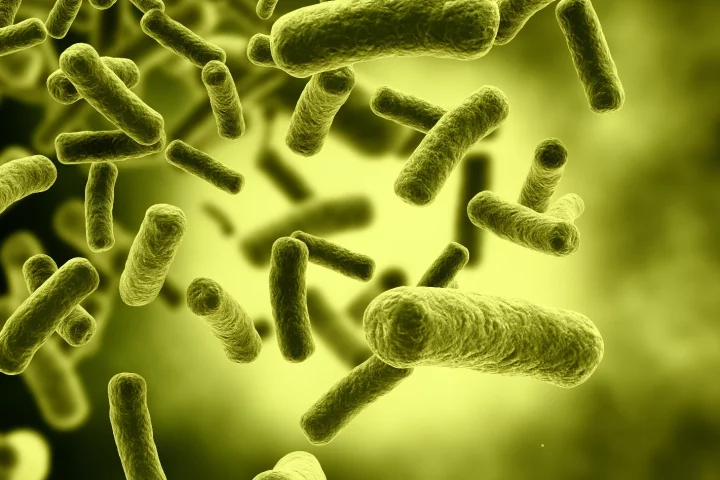 The researchers were able to break up bacterial biofilms, making them much easier to treat