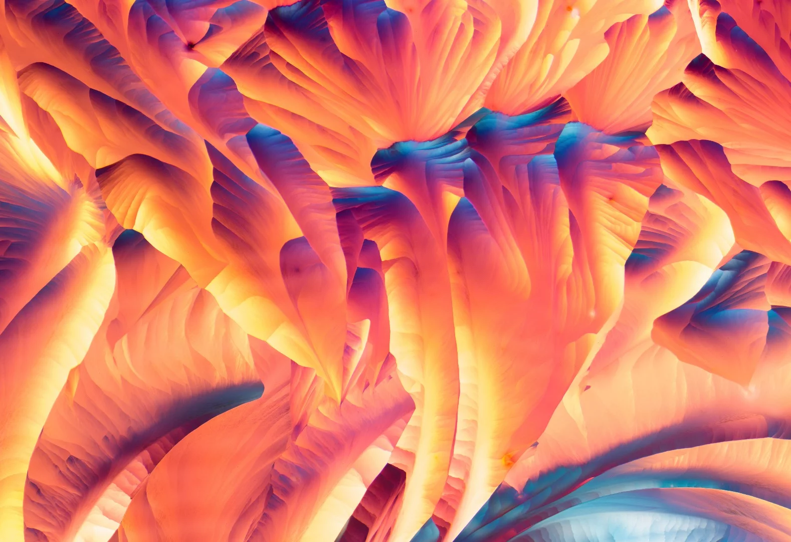 L-Glutamine and Beta alanine