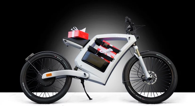 The FEDDZ is designed to carry all kinds of cargo for work and play