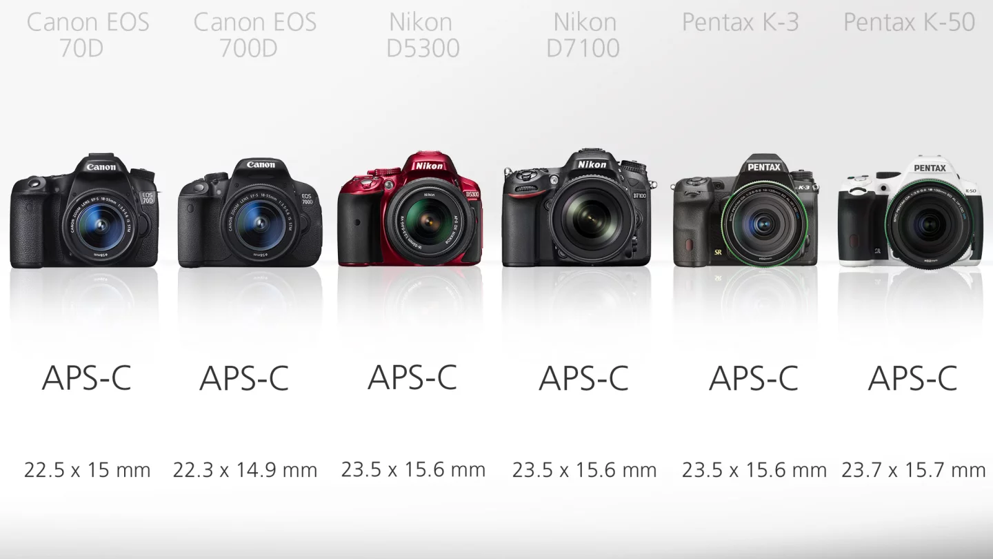 While all of these cameras have APS-C sensors, confusingly they're not all the exact same size