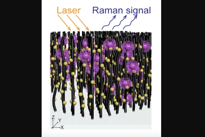 Festooned with gold nanoparticles, the VIRRION tool's precisely-spaced carbon nanotubes capture viruses of specific sizes