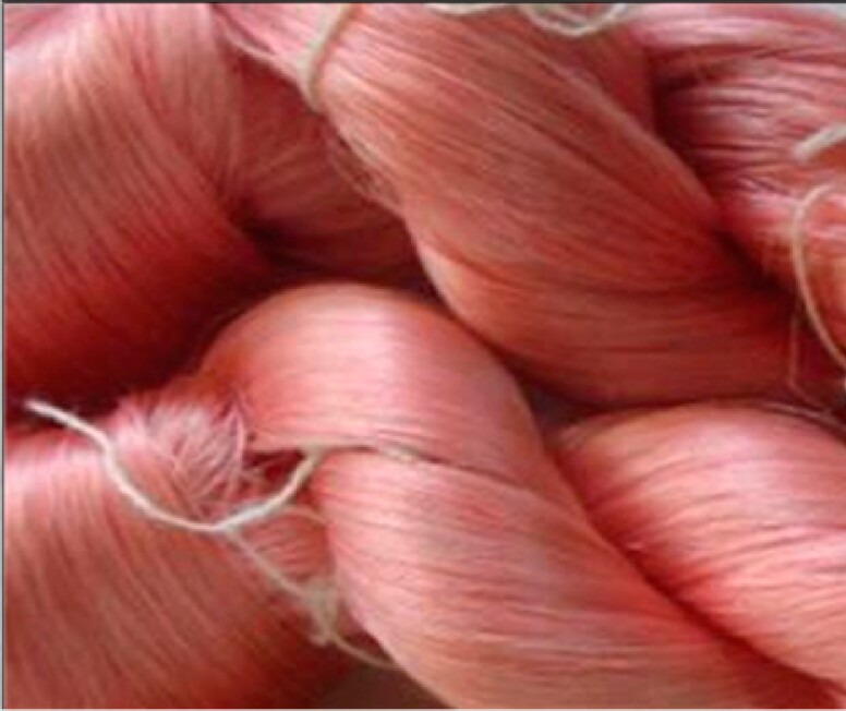 Silkworms that consumed Direct Acid Fast Red azo dye produced these red fibers