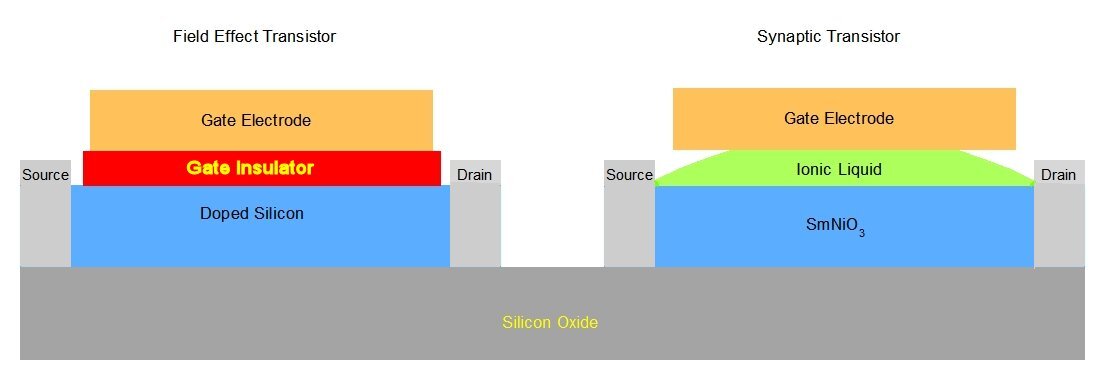 Comparison of the structures of a field effect transistor (left) and Harvard's synaptic transistor (right) (Image: B. Dodson)
