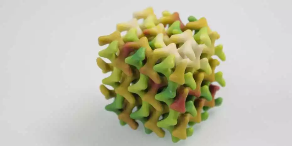 Three-dimensional model of the lipid mesophase