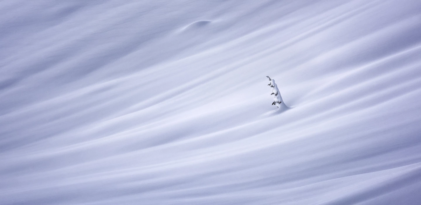 First Place - Open, Nature/Landscapes. 'Spring Hibernation', Squamish, BC, Canada
