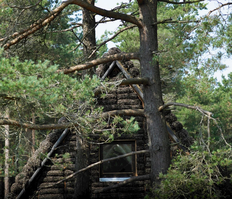 The roof and facade were then cladded with pillows made from knitted wool and stuffed with seaweed