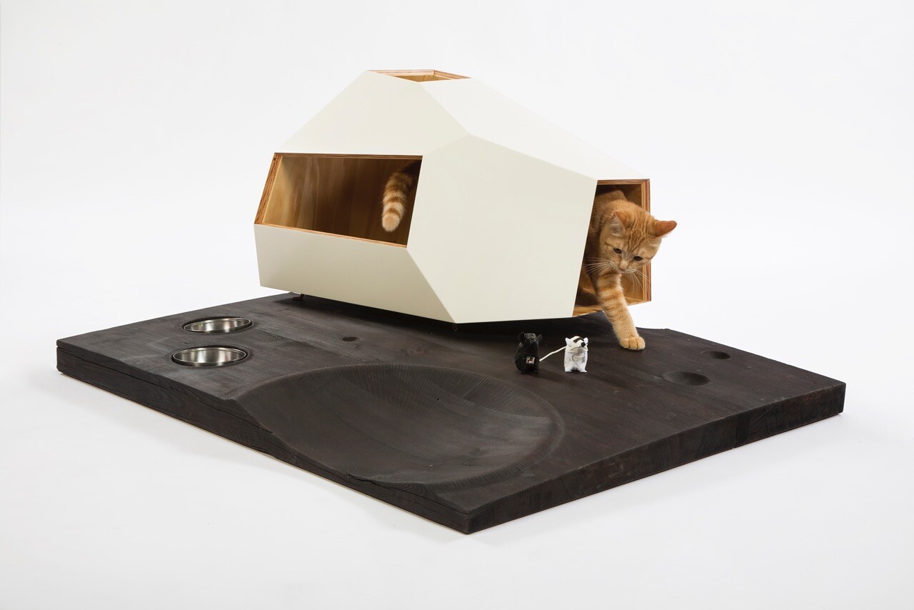 Knowhow Shop's Lunar Cat Lander readies its occupant for the hazards of deep space travel