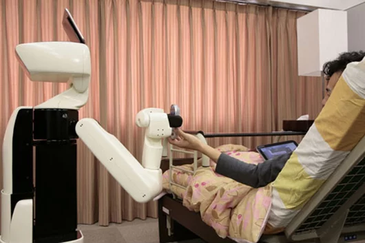 Toyota's Human Support Robot