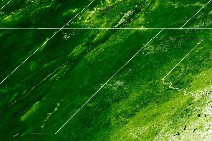 Satellite image using what is known as the Enhanced Vegetation Index (EVI) to show plant cover in June 2004 in the U.S (Image: Philip Dennison, University of Utah)