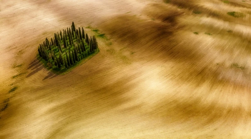 Alone: Commended in the Nature category