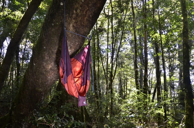 Chammock comes with a set of tree-friendly straps to help you lift you off the ground