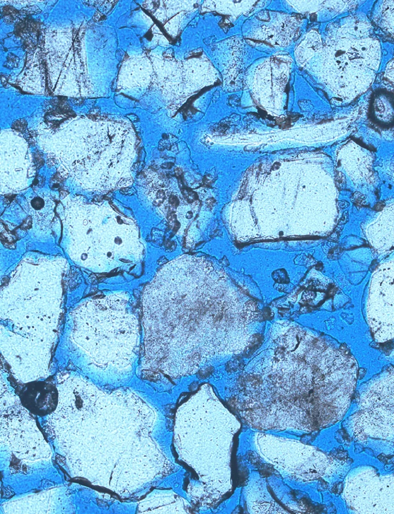 A solution of calcium chloride, urea and nutrient broth is then pumped into the mold