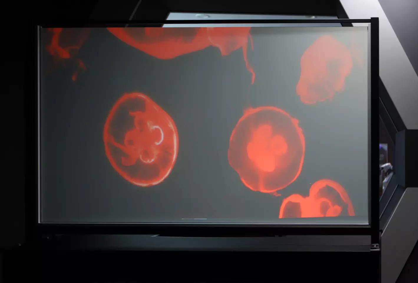 The Nano Transparent Screen technology can reportedly be mass produced for a tenth of the cost of transparent OLED screens