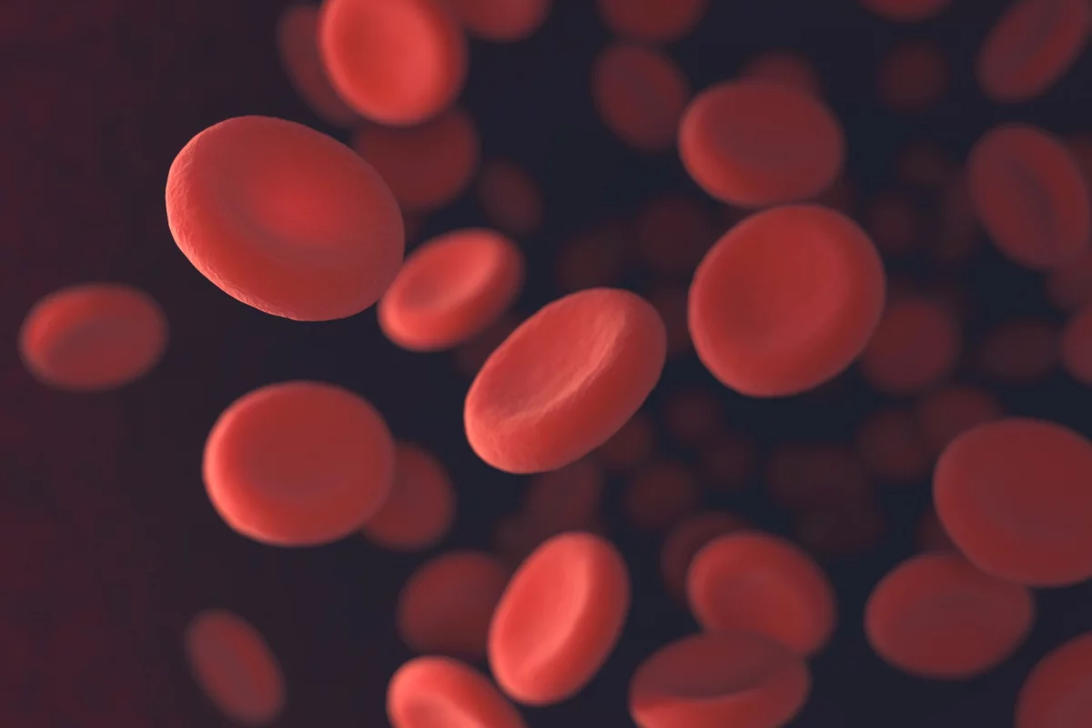 Blood-producing stem cells have been generated in a lab for the first time