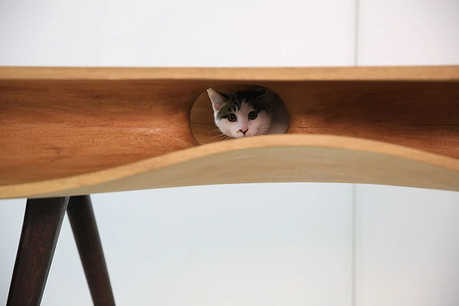 This cat is thinking “Dad has forced me into this hole, and I shall remain here until the time is ripe to attack his unprotected crotch.”