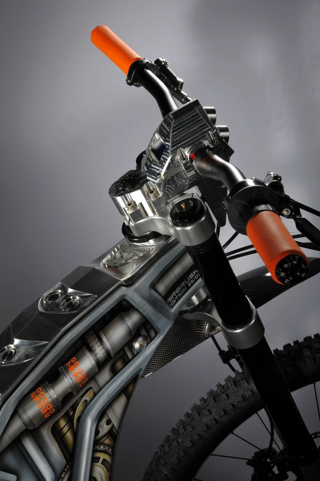 Eye-catching artwork on the Airbrush edition of the M55 Terminus