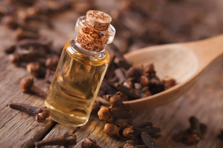 Clove oil is made up mainly of eugenol, which is known to kill the larvae of disease-spreading mosquitoes such as Aedes aegypti