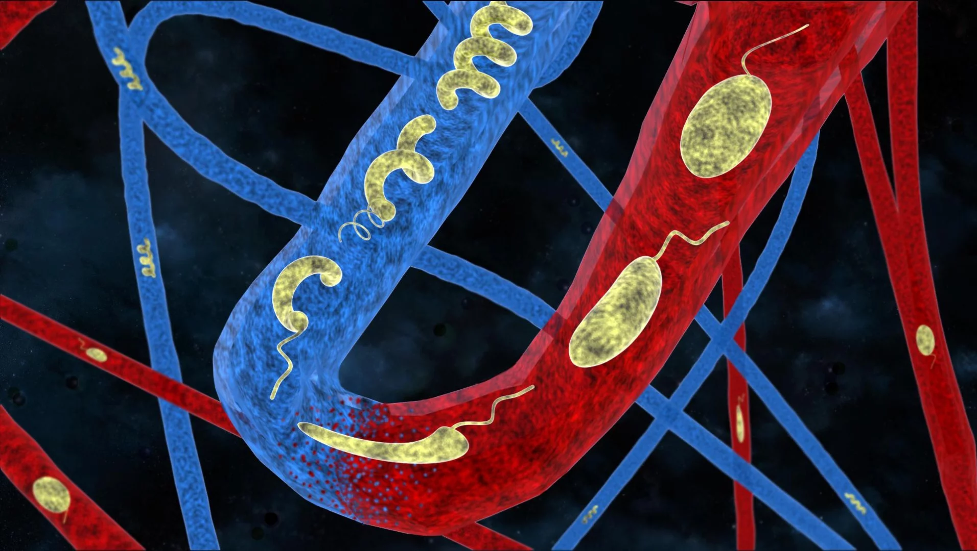A new breed of medical micro-robots made to explore the human body can automatically adapt to the different environments in there