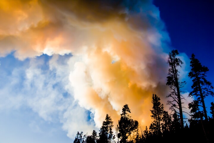 It's not news that wildfire smoke is hazardous, but the growing link with age-related dementia is concerning scientists across the globe