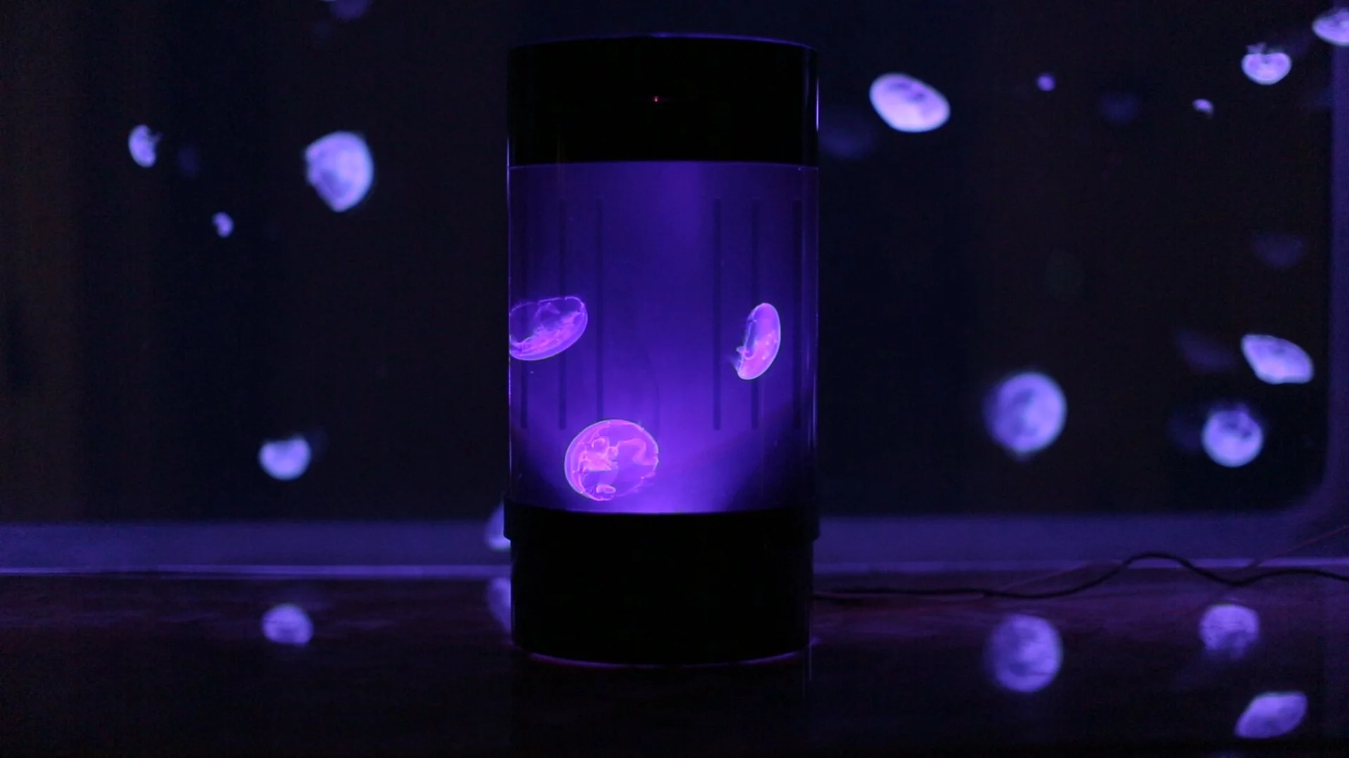 The Jellyfish Cylinder Nano has a remote-control LED laight