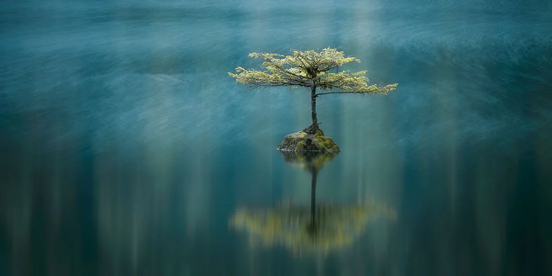 Third place for the Carolyn Mitchum Award went to this image from Canadian Adam Gibbs