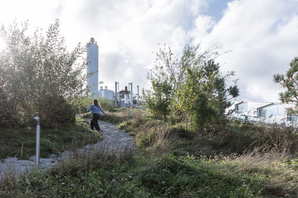 CopenHill's hiking trail is home to thousands of bushes, hundreds of trees and various plants and other greenery